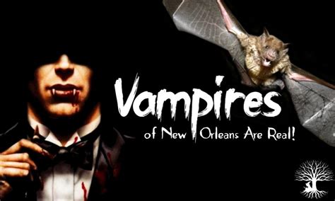 They ranged in age from 18 to 50 and represented both sexes equally. . Vampire attacks in new orleans 2022